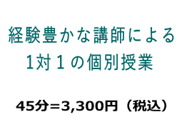 Taught by Expert Japanese teachers 